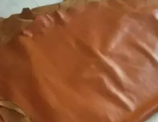 【进口案例】孟加拉黄牛皮胚赤湾港进口报关清关