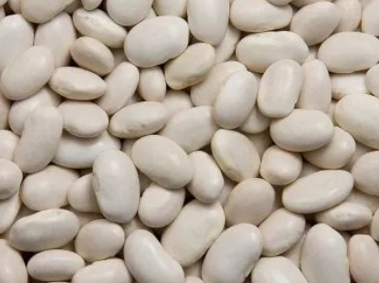 印度白芸豆提取物滘心港码头进口报关清关