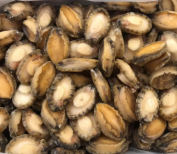 【食品进口】海参、鲍鱼等海味干货报关指南