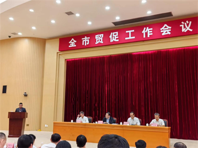 鹏通董事长参加东莞市2025年贸促工作会议和外贸企业代表座谈会