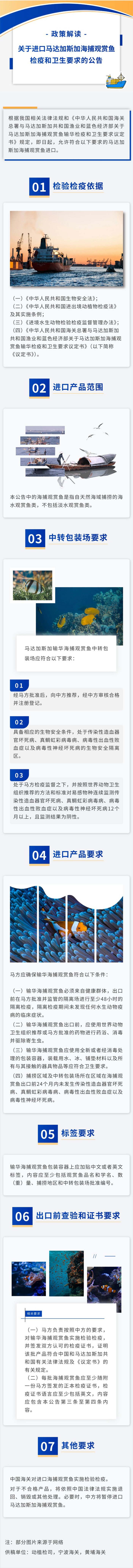 观赏鱼.jpg
