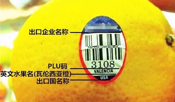 水果标签