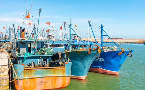 海运jl