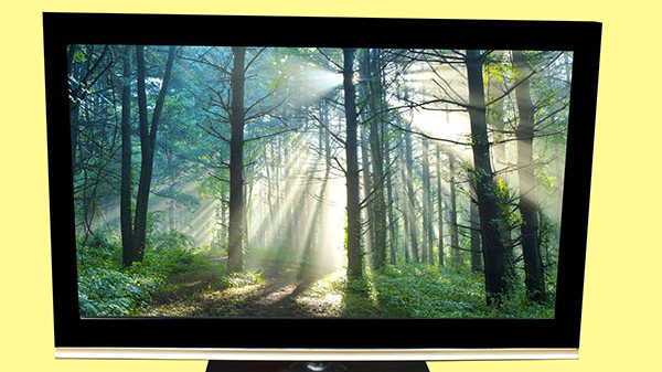 LED液晶显示屏进口报关