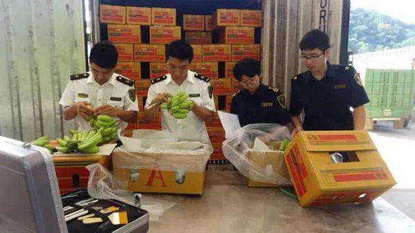 申报缺资料