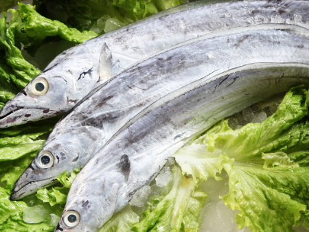 东莞进口食品报关,进口食品报关,带鱼清关