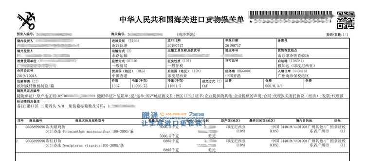 冻鱼-报关单