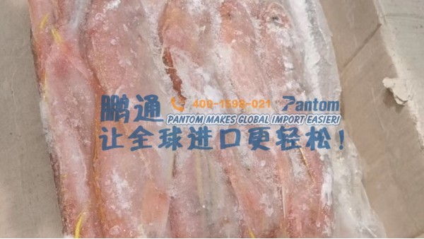 进口食品案例分析|印度尼西亚冻鱼进口清关