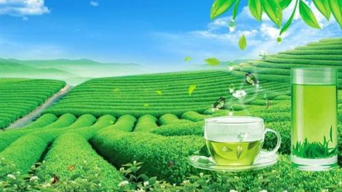 上海茶叶进口报关代理