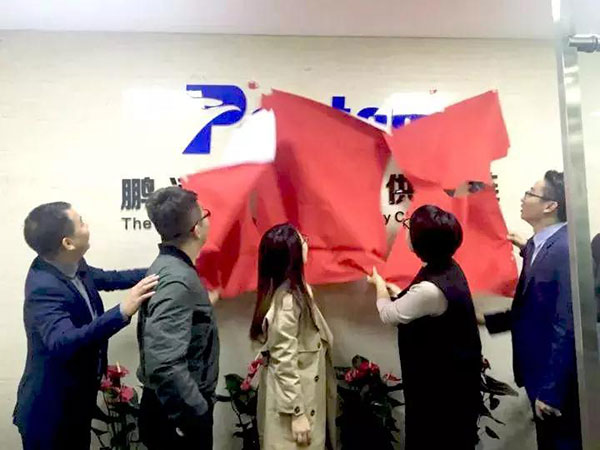 鹏通