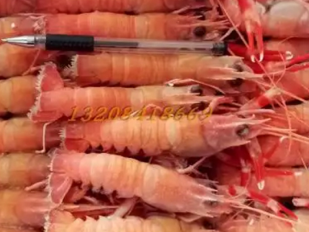 进口冷冻虾佛山清关,冷冻虾佛山清关时间,冷冻虾清关